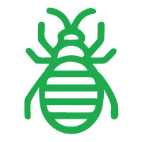 Bed Bug Control